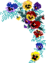 pansy1.gif (2940 bytes)